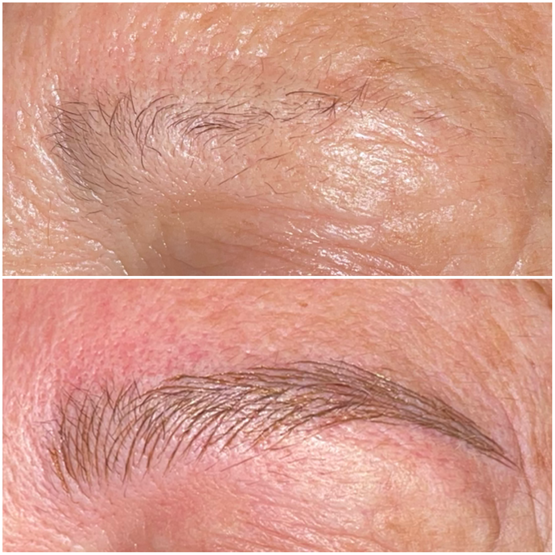 Cejas · Un diseño con presencia